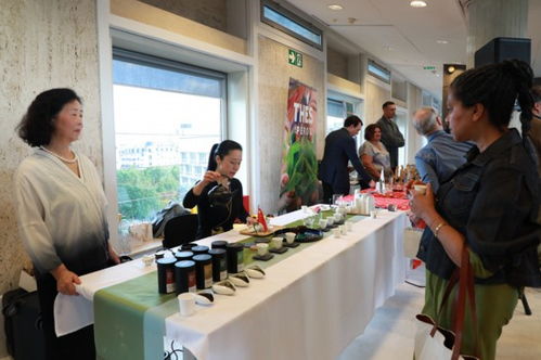 以茶为媒，文明对话 国际茶日系列活动点亮联合国教科文组织总部